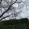 ロードサービス