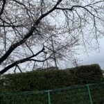 ロードサービス