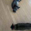 疲れてる