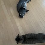 疲れてる