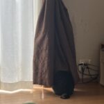 始まった
