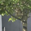 忘れそう
