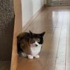 週間天気