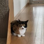 週間天気