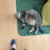 日焼け止め