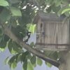 また偵察