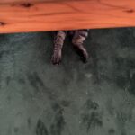 梅雨明けたって言いだしそう