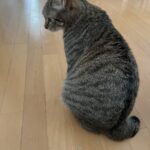 7月