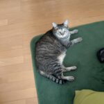 赤ちゃんがいる