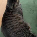もう7月終わり
