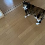 まだ暑い