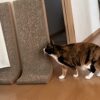 ちょっとそこまで
