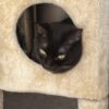 見たくないもの