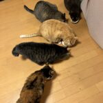 心配する回数