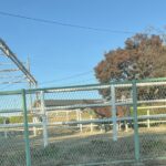 そろそろ大掃除