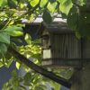 居た