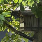 居た