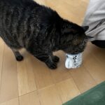 いい気温