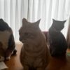 やっと金曜日