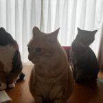 やっと金曜日