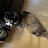 まだ木曜日