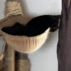 今日まで猛暑