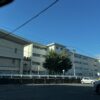 小山に